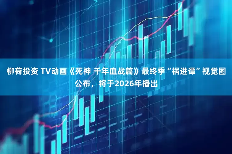 柳荷投资 TV动画《死神 千年血战篇》最终季“祸进谭”视觉图公布，将于2026年播出